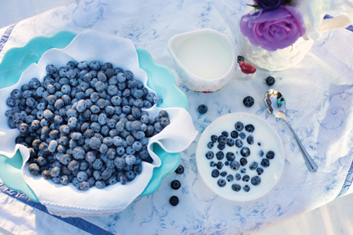 blueberries 1576409